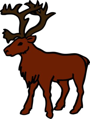 reindeer02
