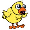 chick1