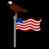 eagleandflag1