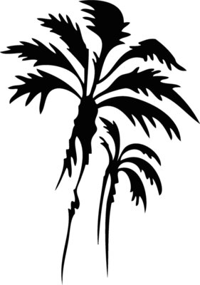 palmtrees02