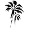 palmtrees02