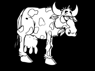 cow5