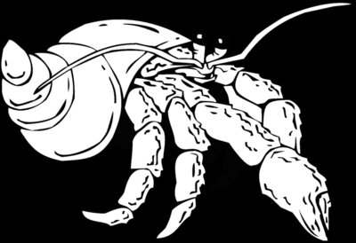 hermit crab 2