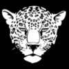 leopard2