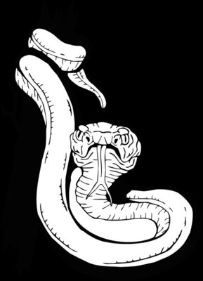 snake7