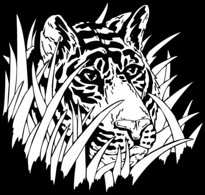 tigerhead02