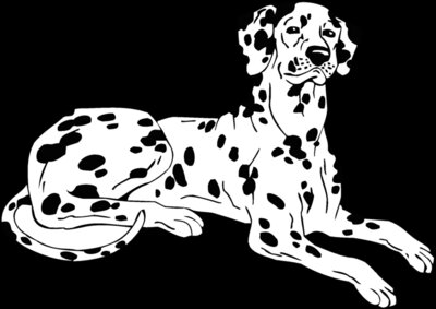 dalmatio