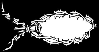thornfish