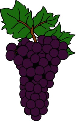 grapes1