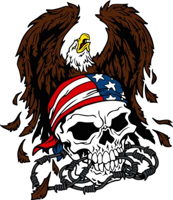 patriotic skull