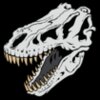 t rex skull