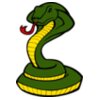 snake05v4clr
