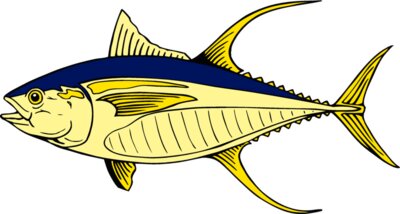 fish yellowfintuna