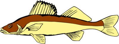 fish walleye