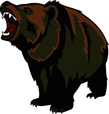 bear5
