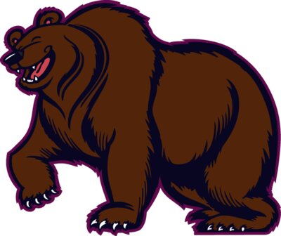 bear49