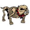 bulldog skeleton