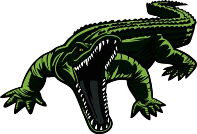 alligatorm13