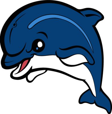 dolphin04
