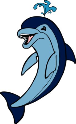 dolphin08