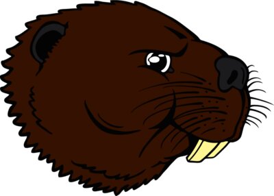 beaver39