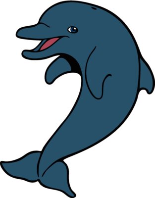 dolphin01