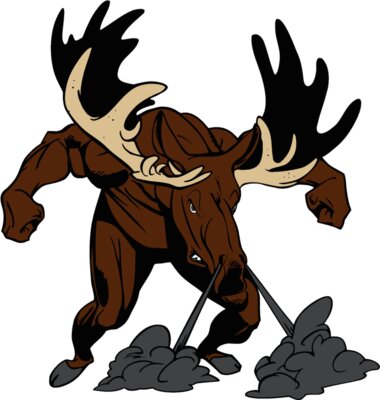 moose2