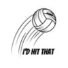 Volleyball 13